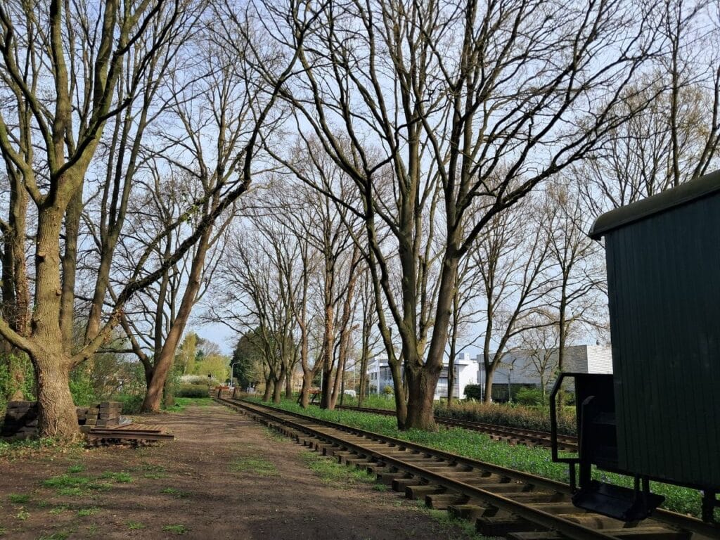 Terrein GOLS met rails en wagon. Na snoeien en verwijderen van klimop uit de bomen.
